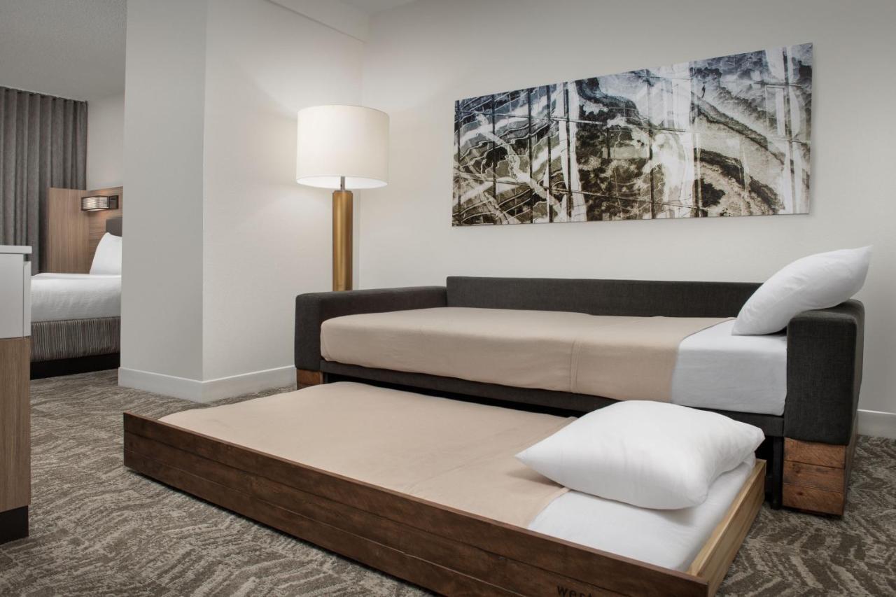 Springhill Suites By Marriott Atlanta Buford/Mall Of Georgia Extérieur photo