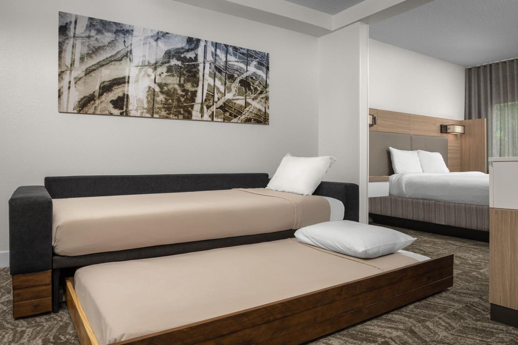 Springhill Suites By Marriott Atlanta Buford/Mall Of Georgia Extérieur photo
